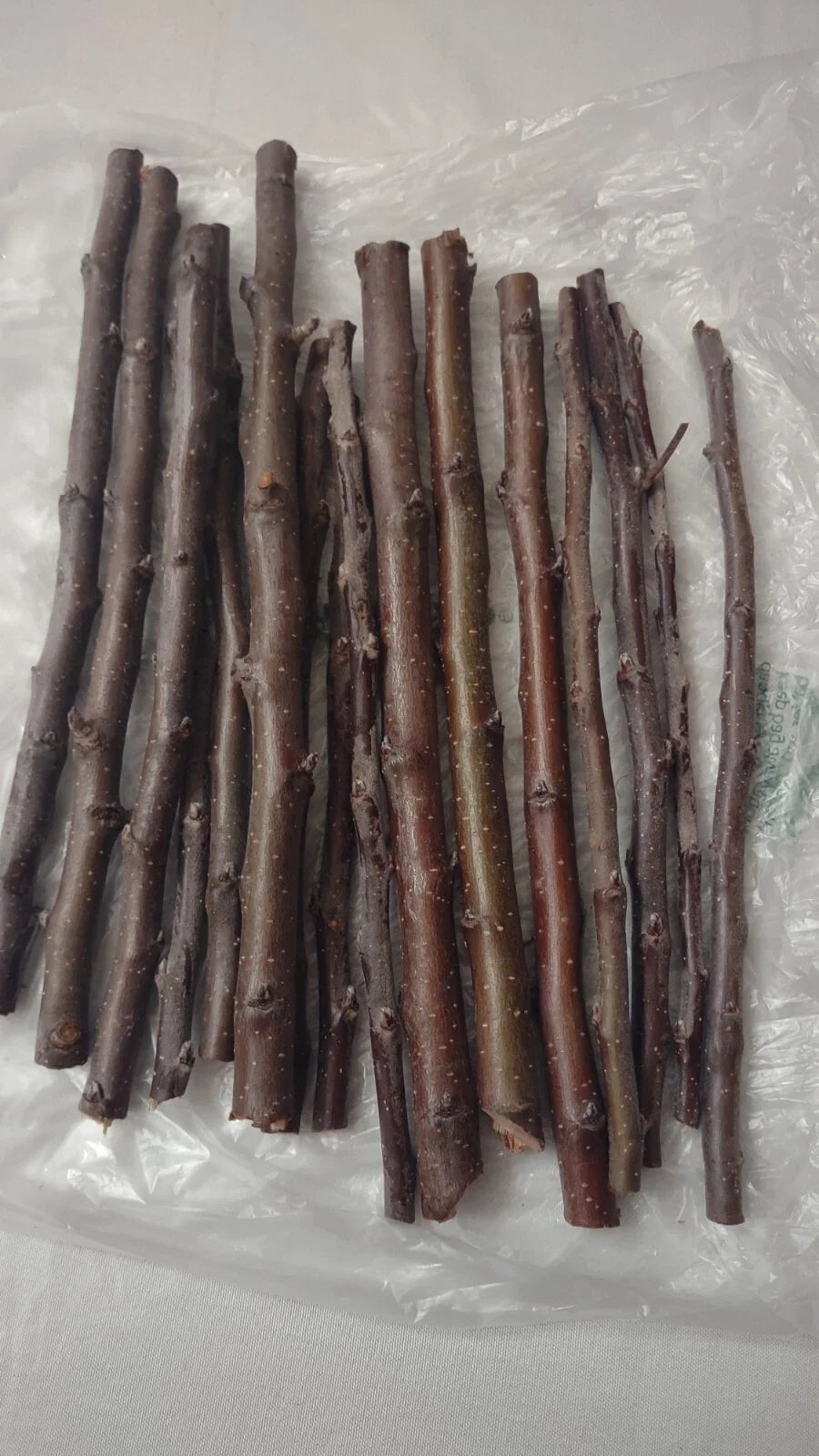 Golden Delicious Apple Tree Scions - 6 Organic Cuttings for Grafting - Malus domestica 'Golden Delicious'