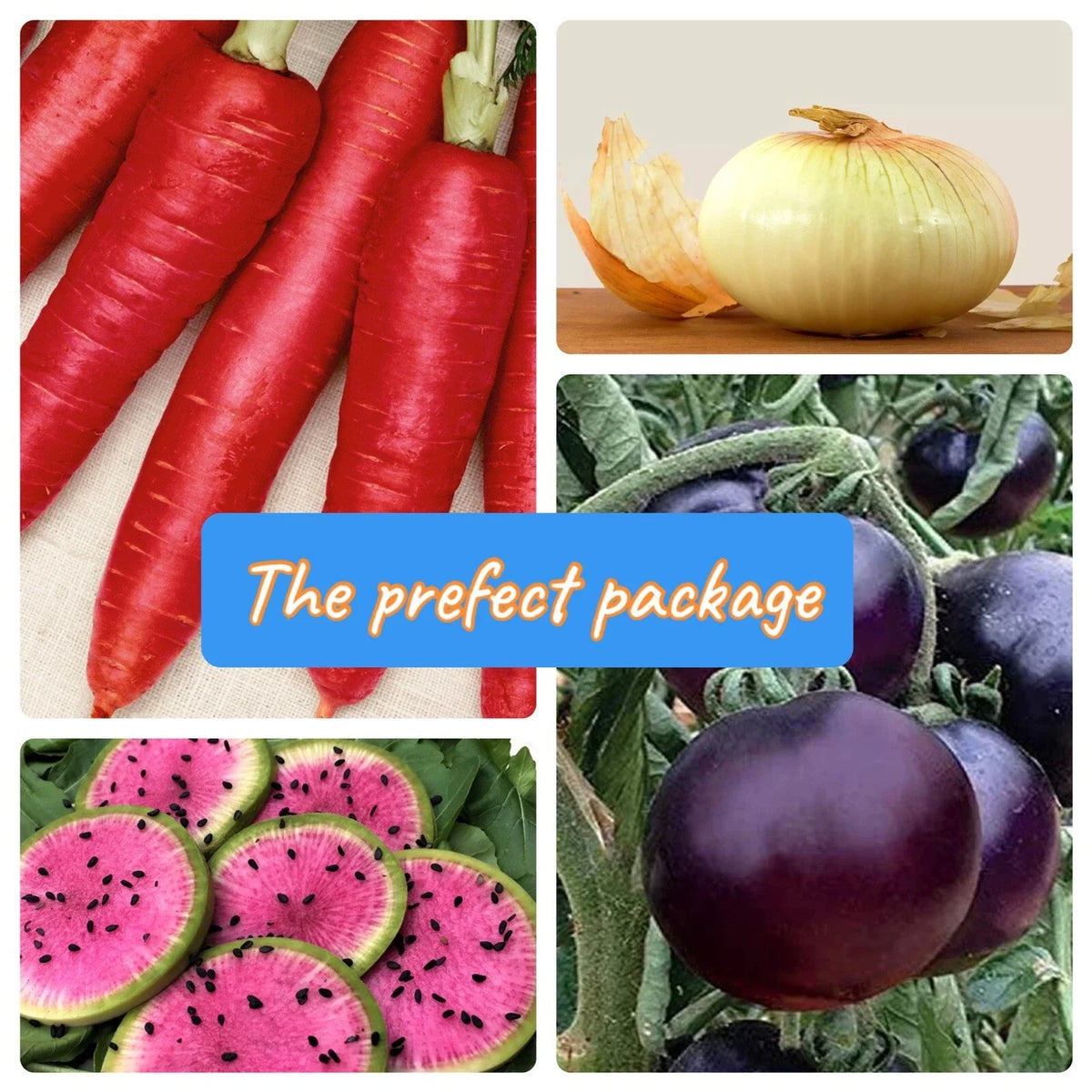 Heirloom Vegetable Seed Package | Non-GMO | Ultimate Vegetable Collection | Various Varieties for Home Gardening