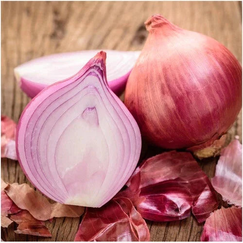Ruby Red Onion Seeds - Heirloom Non-GMO - Allium cepa - 200 Seeds Per Packet - Easy to Grow for Home Gardeners