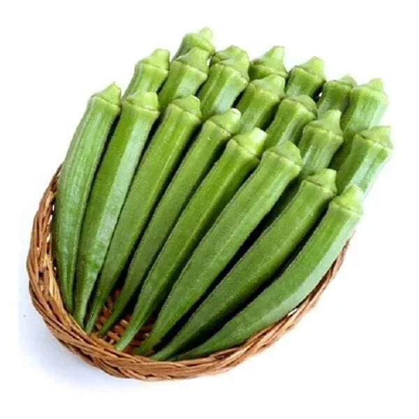 Perkins Long Pod Okra Seeds - 25+ Heirloom Non-GMO - Abelmoschus esculentus - Fresh Garden Variety