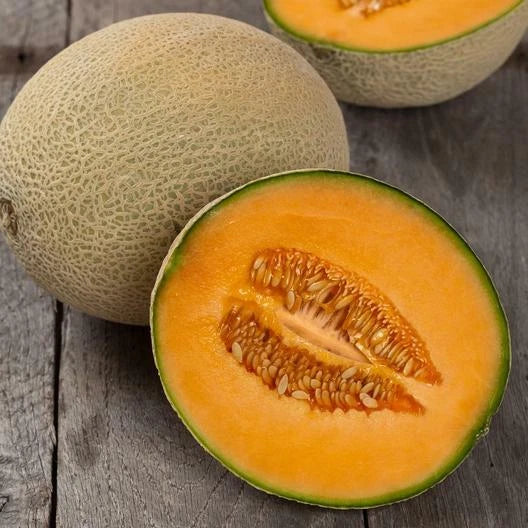 Hales Best Jumbo Cantaloupe Seeds - 100 Count - Non-GMO - Cucumis melo - Sweet, Juicy Melon Seeds for Home Gardening