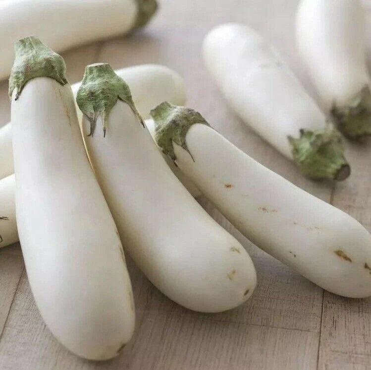 White Long Eggplant Seeds - 15 Pack, Heirloom Solanum melongena for Home Gardening, Non-GMO Vegetable Seeds