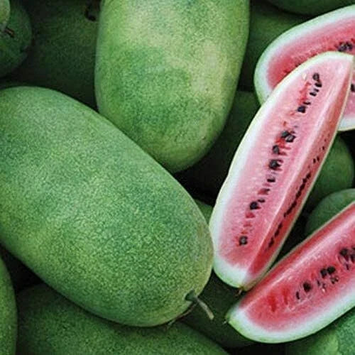 Charleston Grey Watermelon Seeds | Heirloom Non-GMO | Organic Citrullus lanatus | 25 Seeds for Home Garden