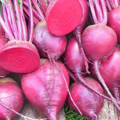 Beet Seeds - Merlin Variety - 100 Non-GMO Fresh Vegetable Seeds - Beta vulgaris - Sweet Tender Beets for Home Garden