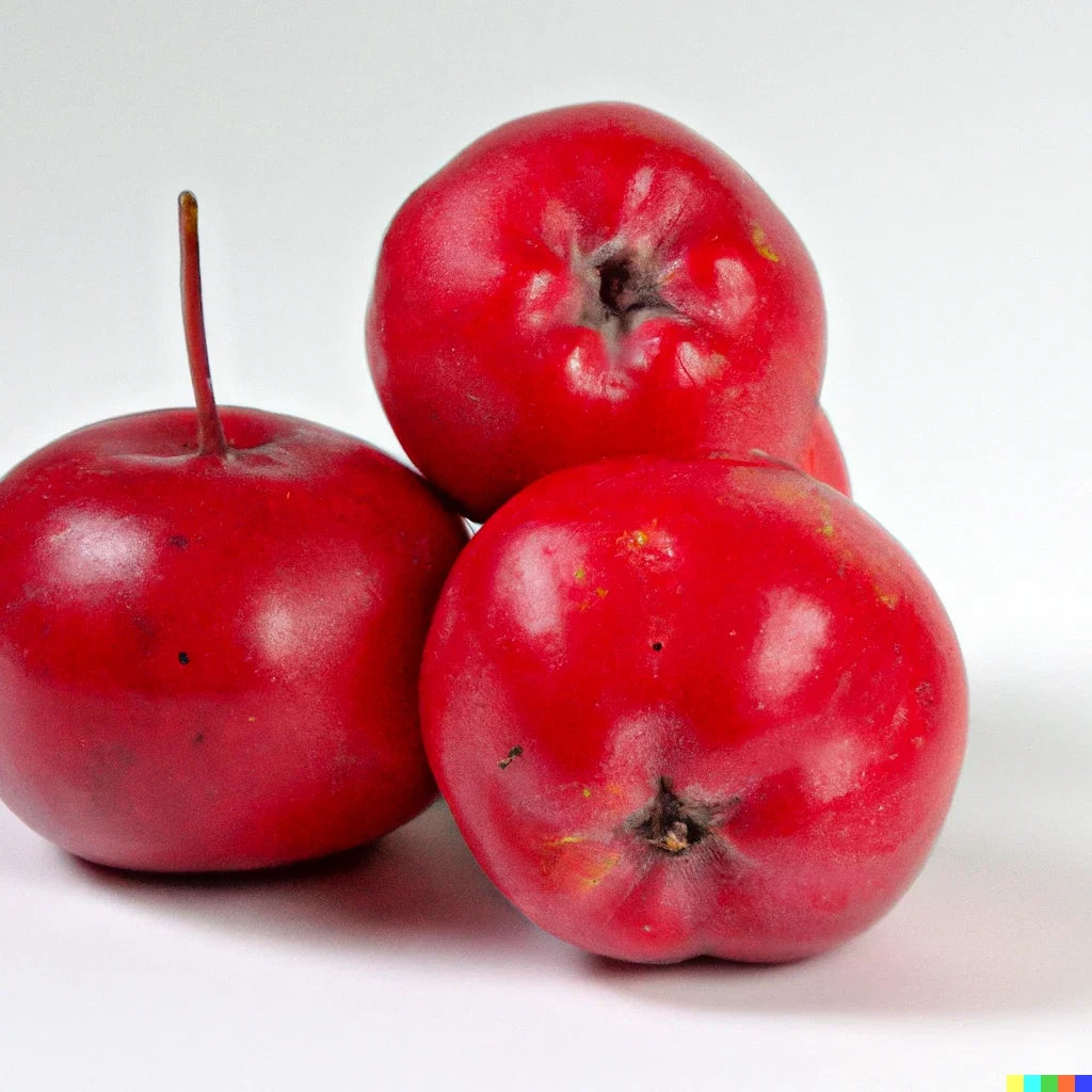 Robusto Red Apple Seeds - 10 Pack - Fast Growing Edible Crab Apple - Malus x robusta - Sweet-Tart Flavor, Home Orchard