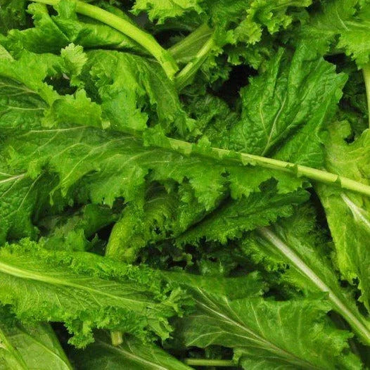 Spicy Brown Mustard Green Seeds - 1000+ Count - Brassica juncea - Non-GMO Organic Mustard Greens for 2025 Planting