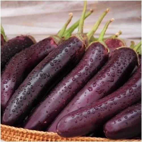 Long Purple Eggplant Seeds - 30 Premium Non-GMO Seeds - Japanese Variety (Solanum melongena) for Home Gardening