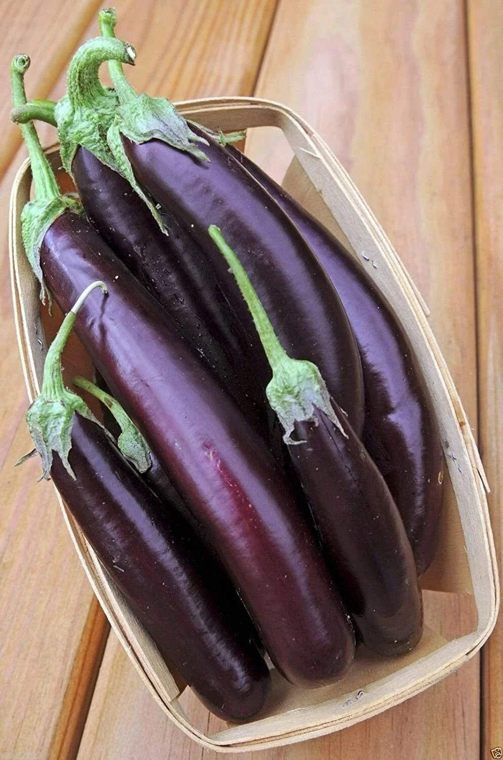 250 Non-GMO Long Purple Eggplant Seeds - Heirloom Vegetable Seeds for Planting (Solanum melongena)