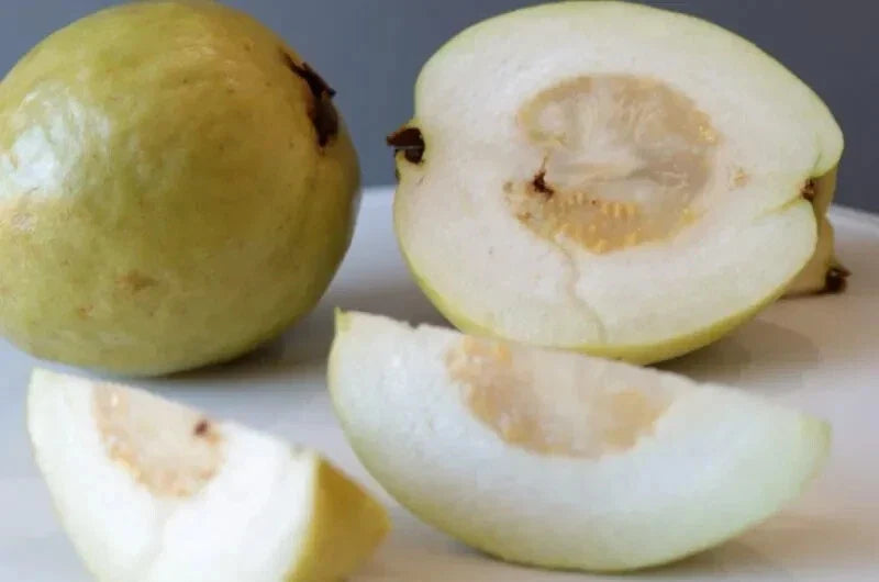 Sweet White Guava Seeds - 50+ Pack - Psidium guajava - Tropical Fruit for Garden Planting - USA
