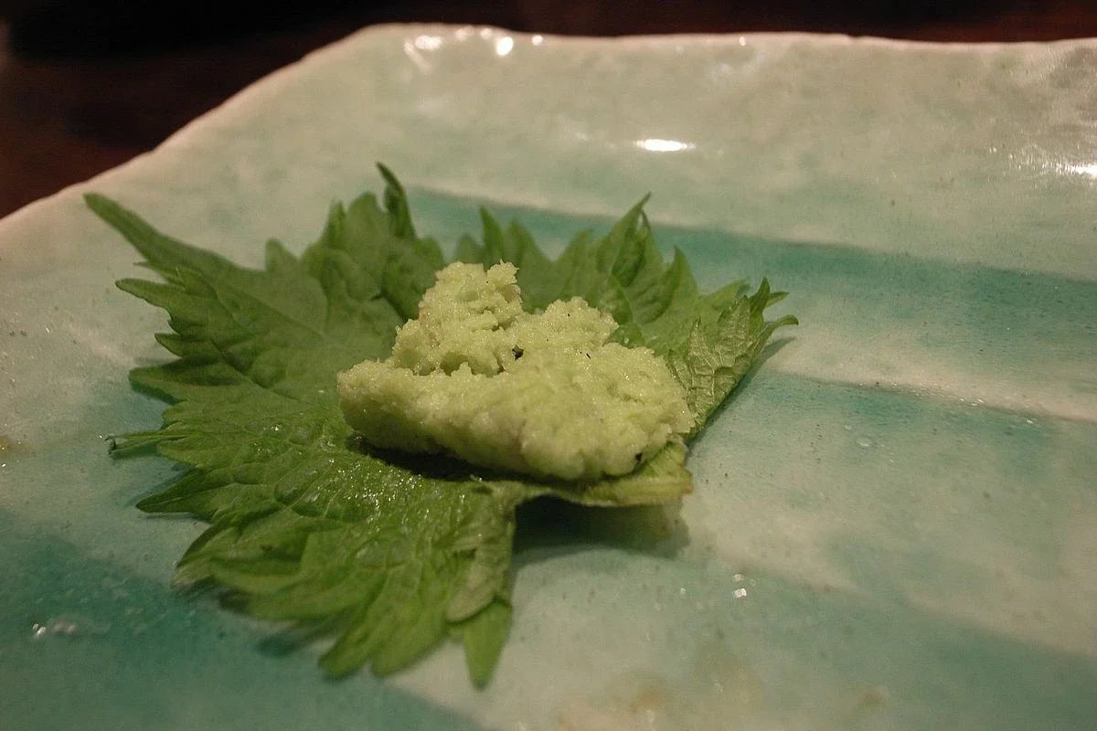500 Non-GMO Green Shiso Seeds | Perilla frutescens | Culinary Beef Steak Plant | USA Seller