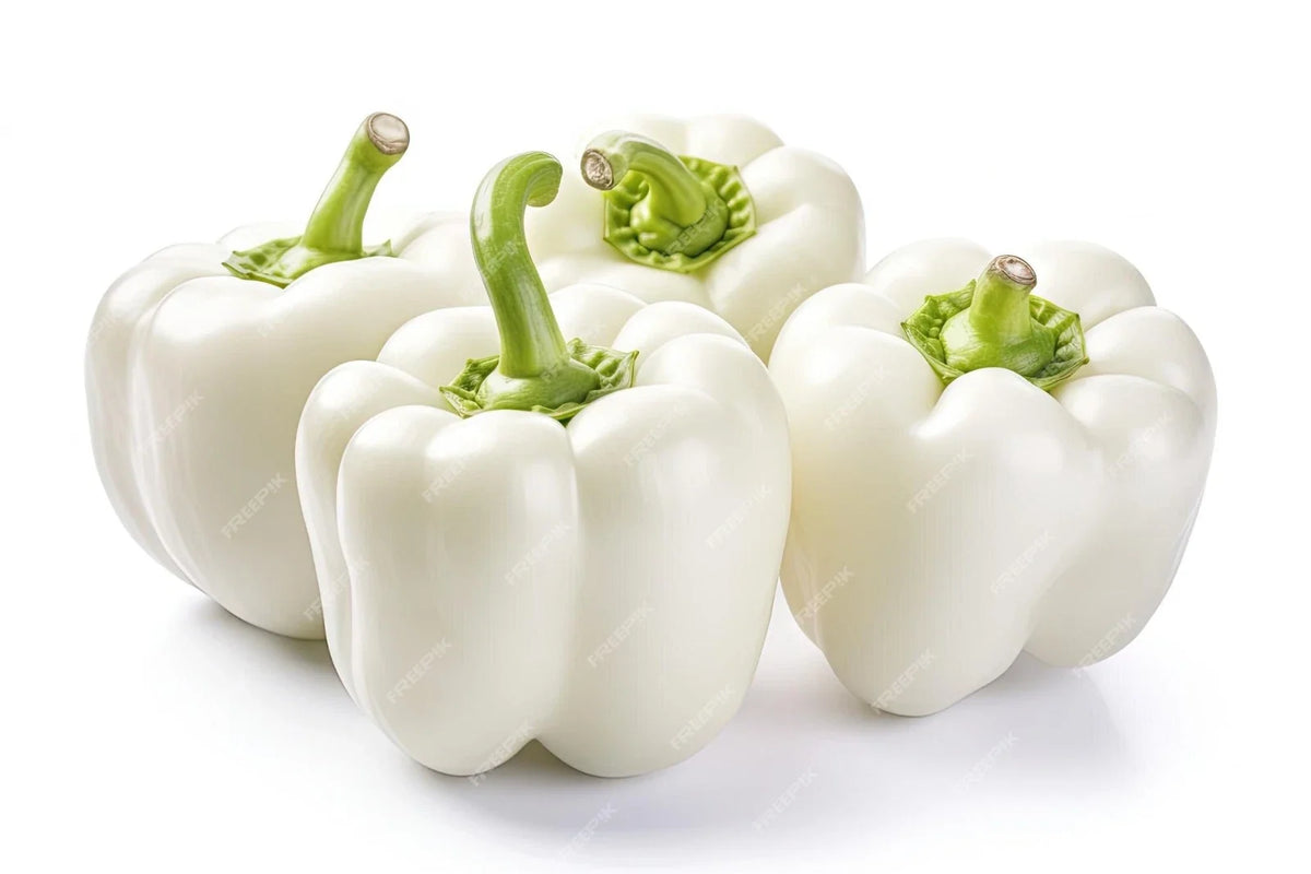 Heirloom White Bell Pepper Seeds - Organic Non-GMO 50 Seeds - Capsicum annuum - Rare Variety for Home Gardening