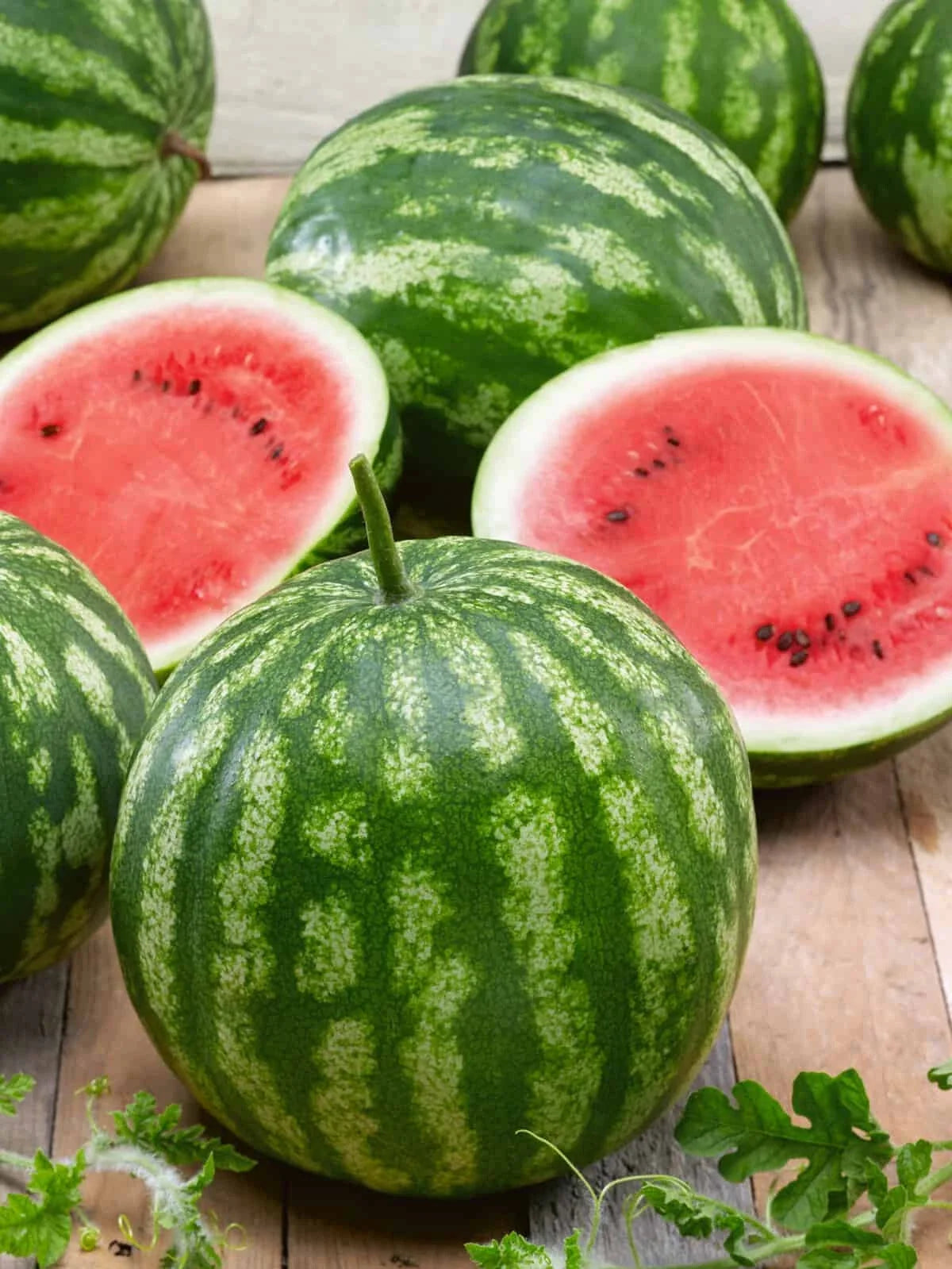 Cal Sweet Bush Watermelon Seeds - 50+ Organic Heirloom Seeds - Citrullus lanatus - Ideal for Small Gardens & Containers