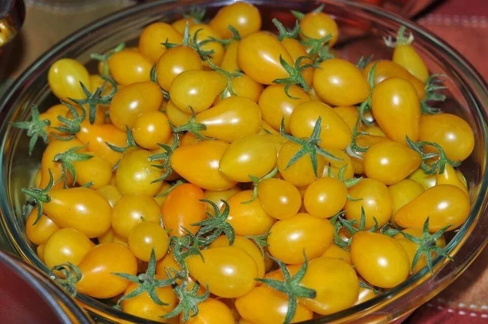 Yellow Pear Tomato Seeds - Heirloom Non-GMO - 10+ Premium Seeds - Solanum lycopersicum - Ideal for Home Gardens