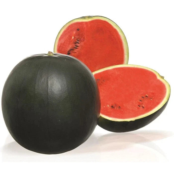 Sweetie Pie Watermelon Seeds - 30 Heirloom Seeds for Home Gardening - Citrullus lanatus - Non-GMO, Easy to Grow