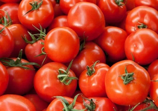Early Girl Hybrid Tomato Seeds - 15 Seeds - Bush Type - Solanum lycopersicum - Compact, Fast-Maturing, Disease Resistant