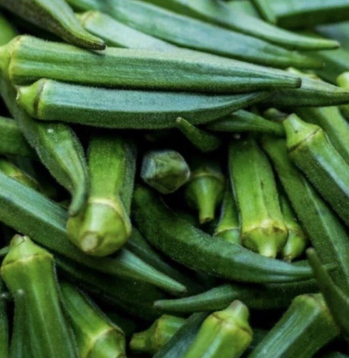 Emerald Okra Seeds - 100+ Non-GMO Seeds for Planting - Abelmoschus esculentus - Easy to Grow, Delicious Pods