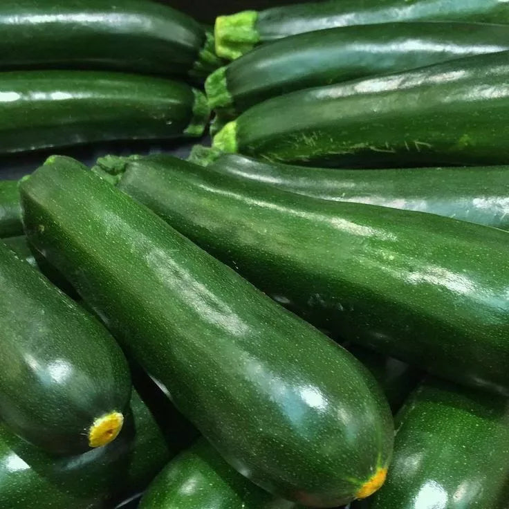 Black Beauty Zucchini Seeds 25 Ct Non-GMO Summer Vegetable Cucurbita pepo - Easy to Grow, Dark Green Squash