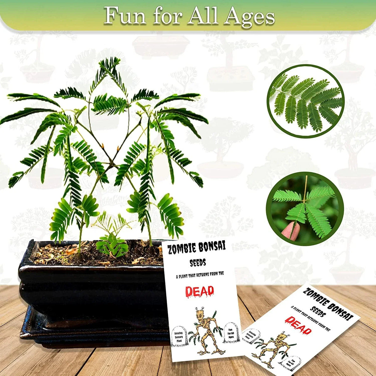Zombie Bonsai Seed Packets (2 Pack) - Touch-Reactive Sensory Plant - Bonsai Sensoria for Unique Gardening Experience