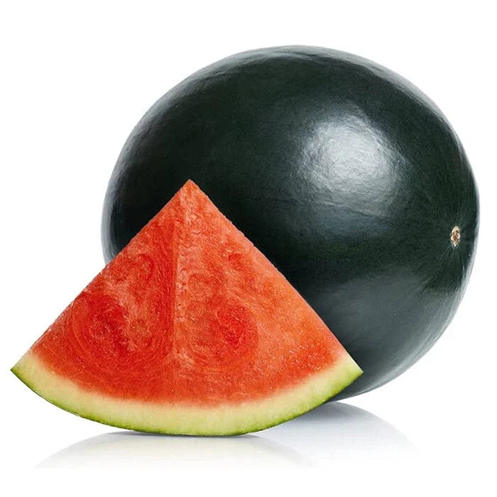 Black Diamond Watermelon Seeds | Heirloom Non-GMO | Citrullus lanatus | Organic Gardening Supplies, 20 Seeds Packet