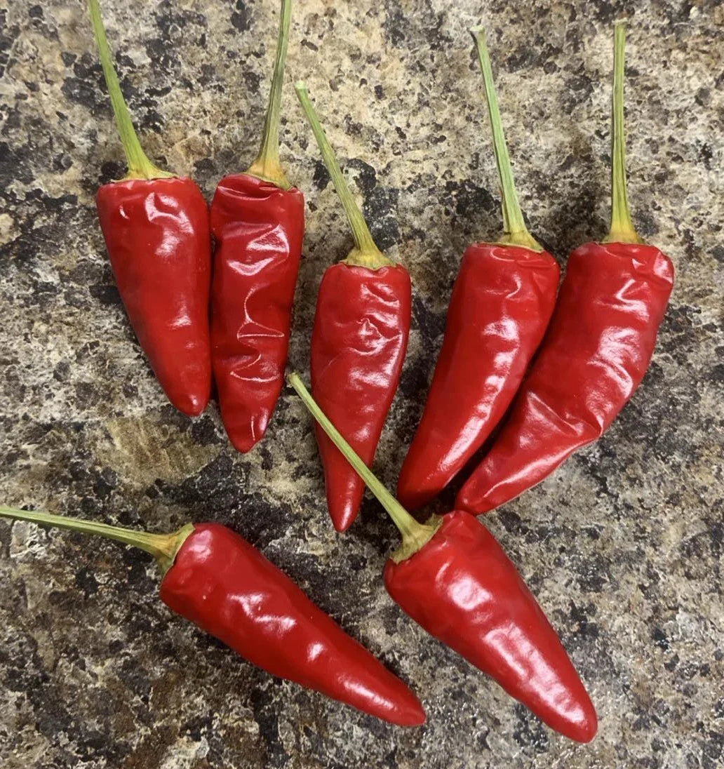 Paprika Pepper Seeds - Heirloom Non-GMO Capsicum annuum - 25 Seeds - Magyar Variety for Culinary Use