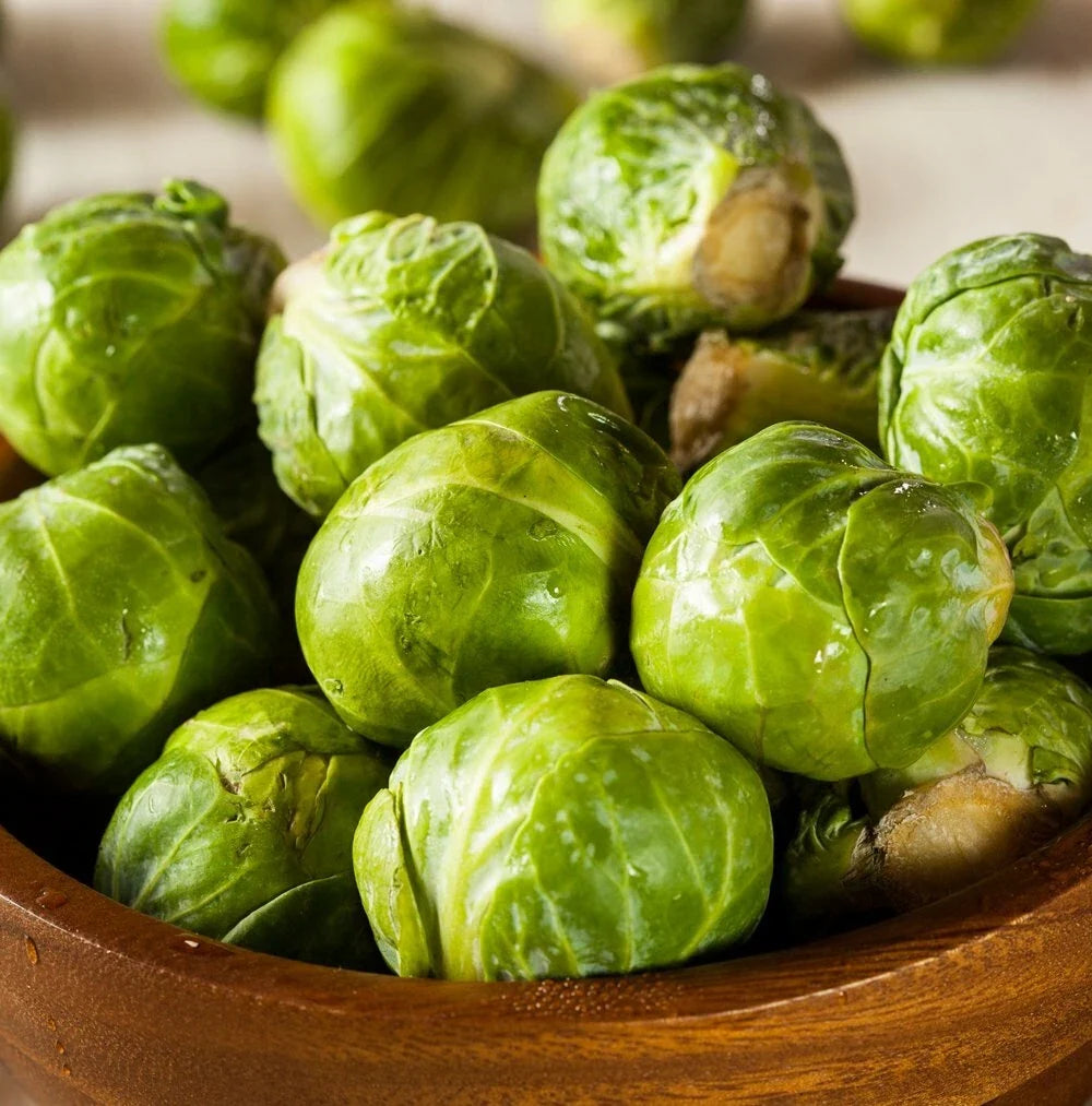 Brussel Sprouts Seeds for Planting | 600+ Seeds | Green Varieties | Brassica oleracea var. gemmifera