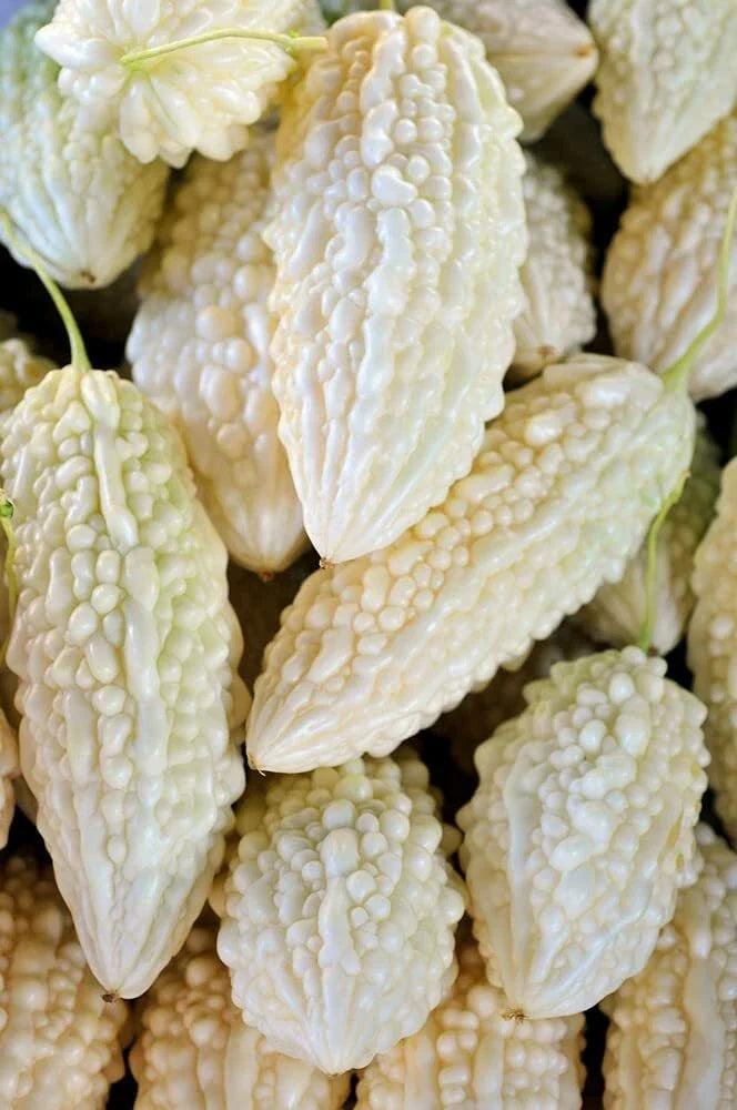Exotic Bitter Gourd Seeds - 10 Pack - White Bitter Melon - Momordica charantia for Planting and Culinary Use