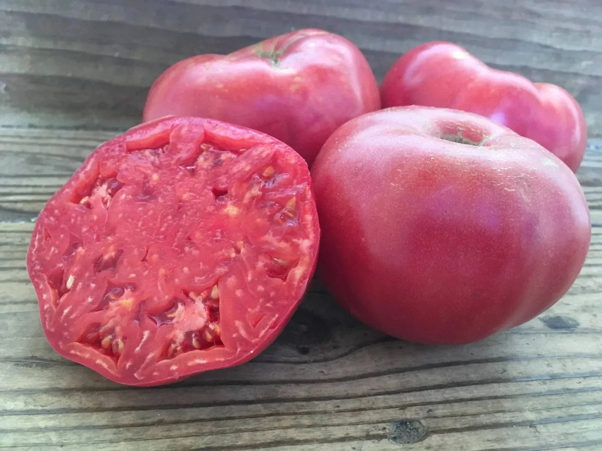 Mortgage Lifter Tomato Seeds - 120+ Heirloom Organic Non-GMO - Solanum lycopersicum - Perfect for Home Gardening