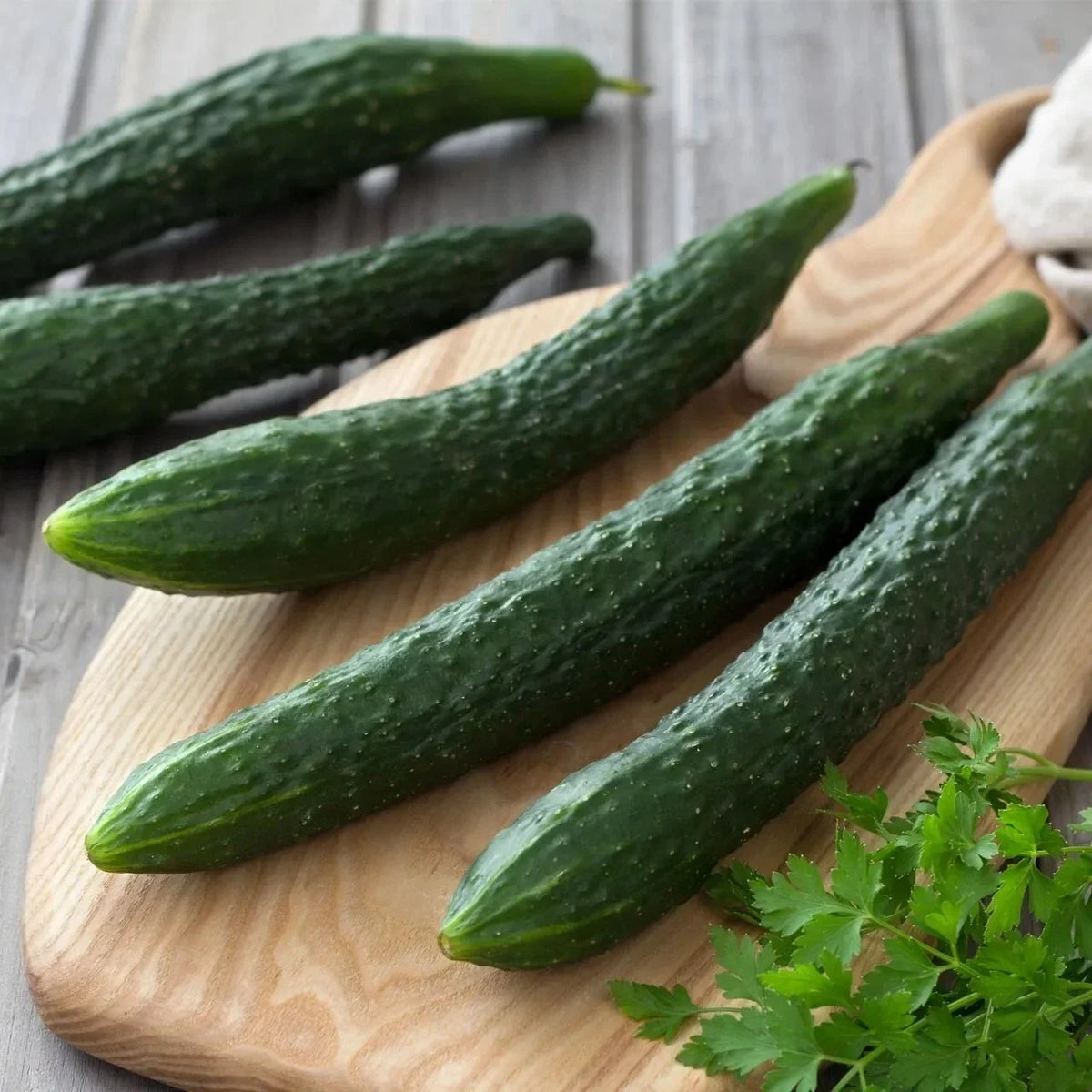 Suyo Long Cucumber Seeds - 50+ Heirloom Organic Non-GMO Cucumis sativus - Ideal for Home Gardens & Container Gardening