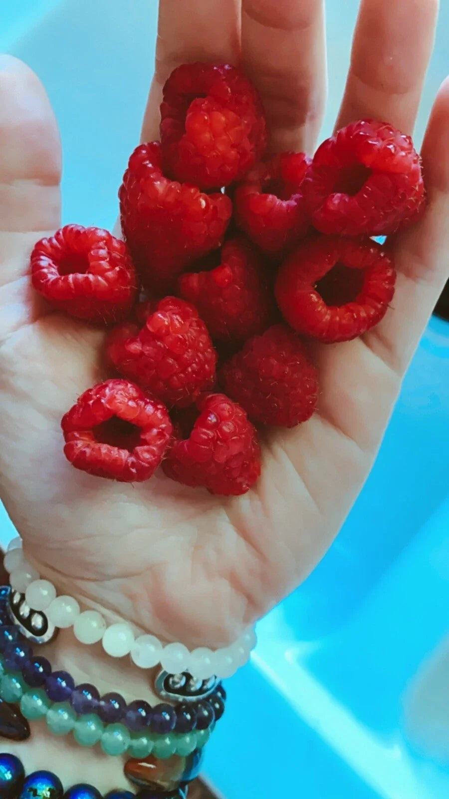 Red Raspberry Seeds - 500 Count - Edible Medicinal Berry - Rubus idaeus - Homegrown USA Garden Vine