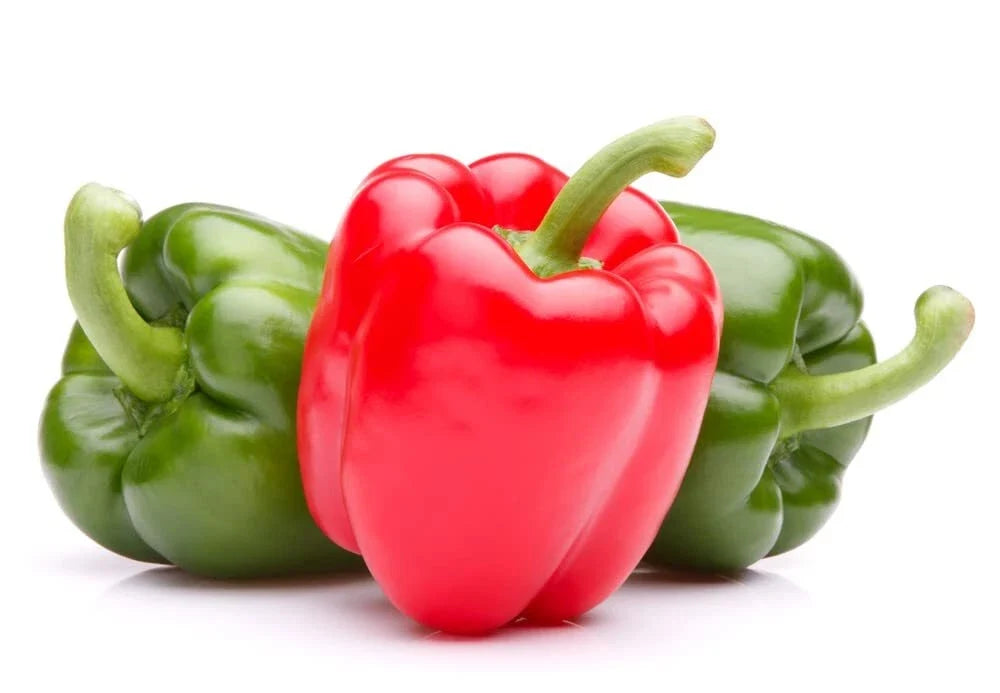 Giant Sweet Pepper Seeds - 30 Count - Ozark Variety - Capsicum annuum - Home Garden Bell Peppers