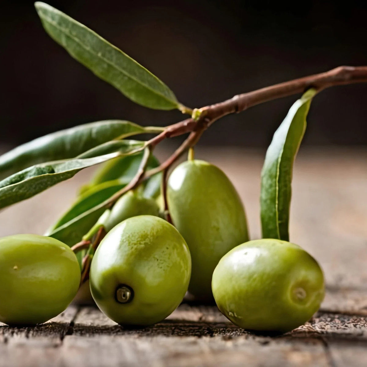 Picual Olive Seeds - 10+ Count - Olea europaea - USA Grown - Ideal for Garden Planting - High Flavor Quality