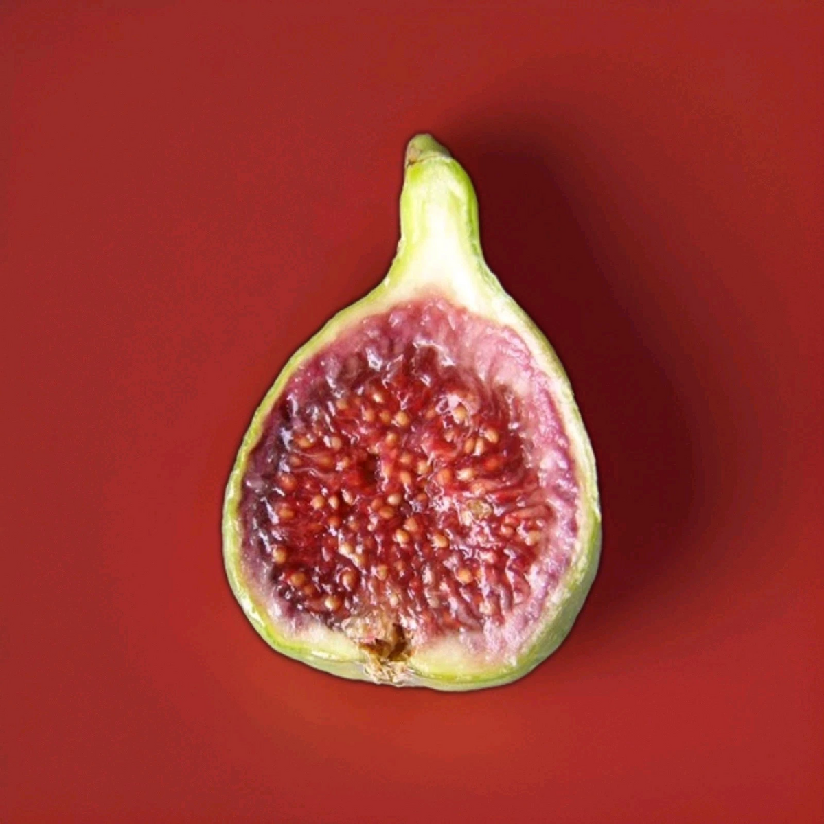 Strawberry Verte Fig Cutting – 6–8 Inch Live Unrooted Ficus Carica for Rooting or Grafting – Green Skin, Red Interior Fruit