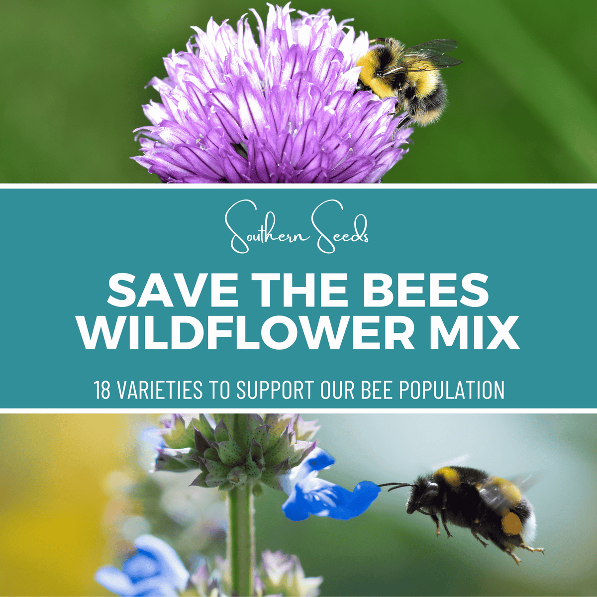 Wildflower Seed Mix - 1,000 Seeds - Save the Bees - 18 Varieties - Pollinator Friendly