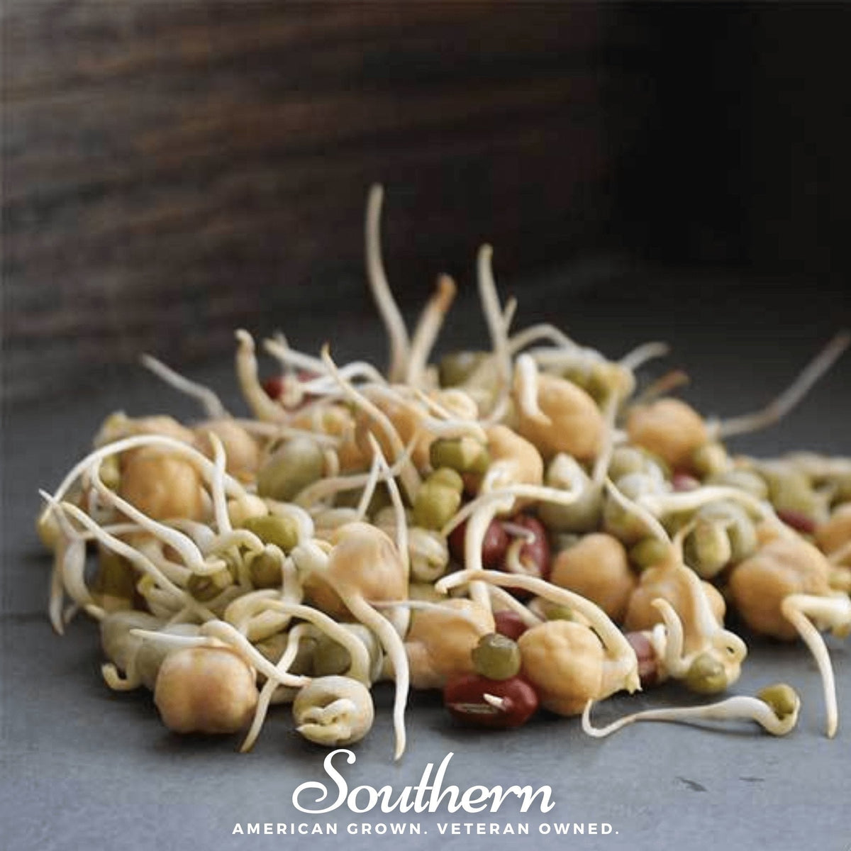 Protein Mix Sprout 1 Ounce - Nutritious Sprouting Seeds Blend for Healthy Snacking - Ideal for Salads and Smoothies