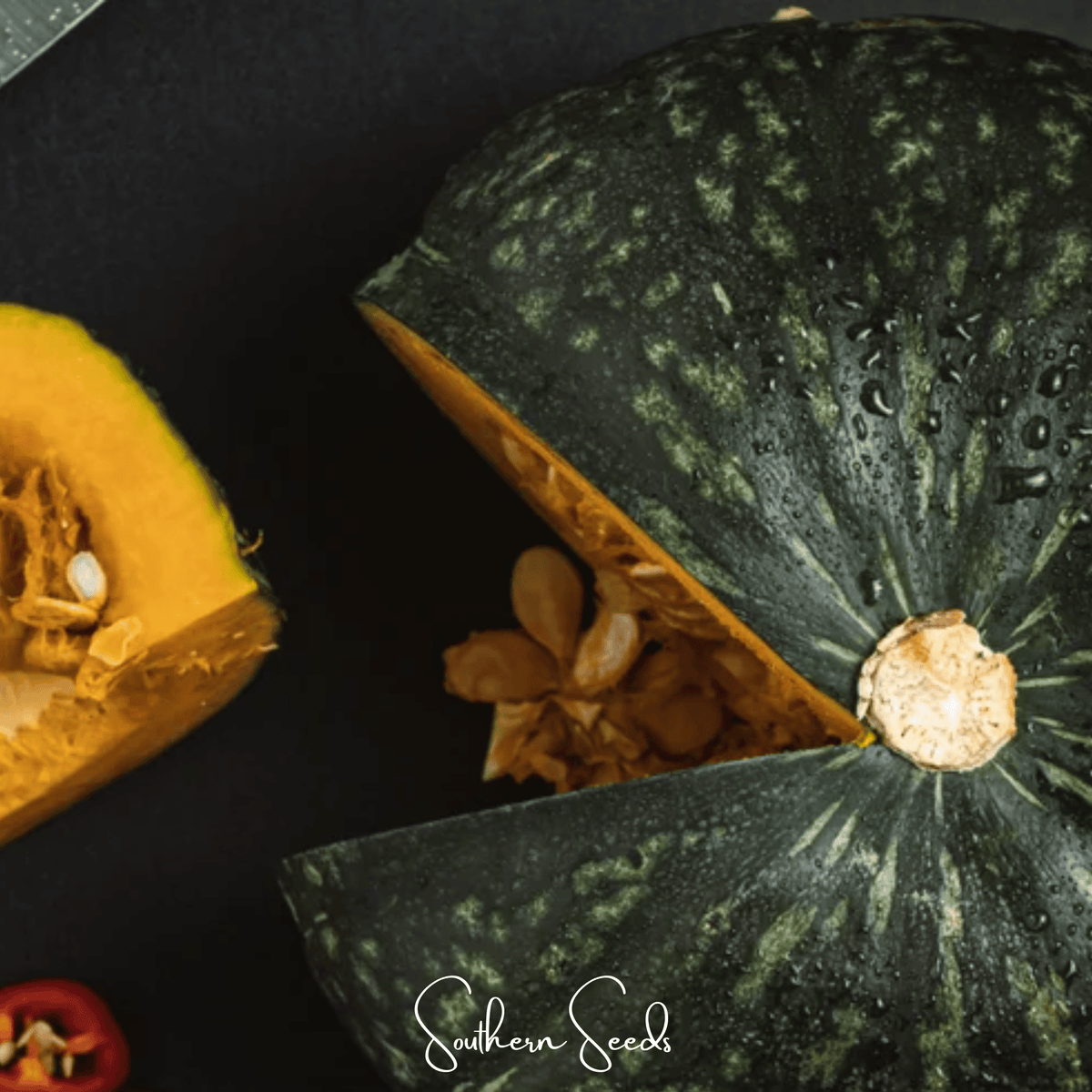 Black Forest Kabocha Squash Seeds - 10 Pack - Cucurbita maxima - Heirloom, Sweet Flavor, Organic Gardening