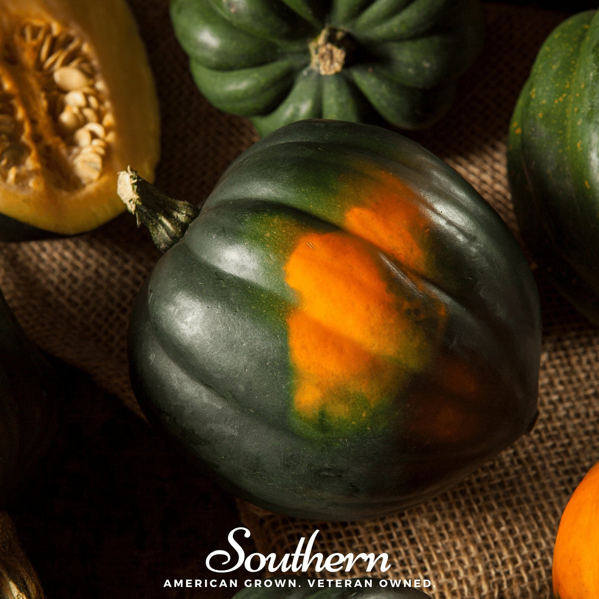 Table Queen Acorn Winter Squash Seeds - 25 Pack - Heirloom Variety - Cucurbita pepo