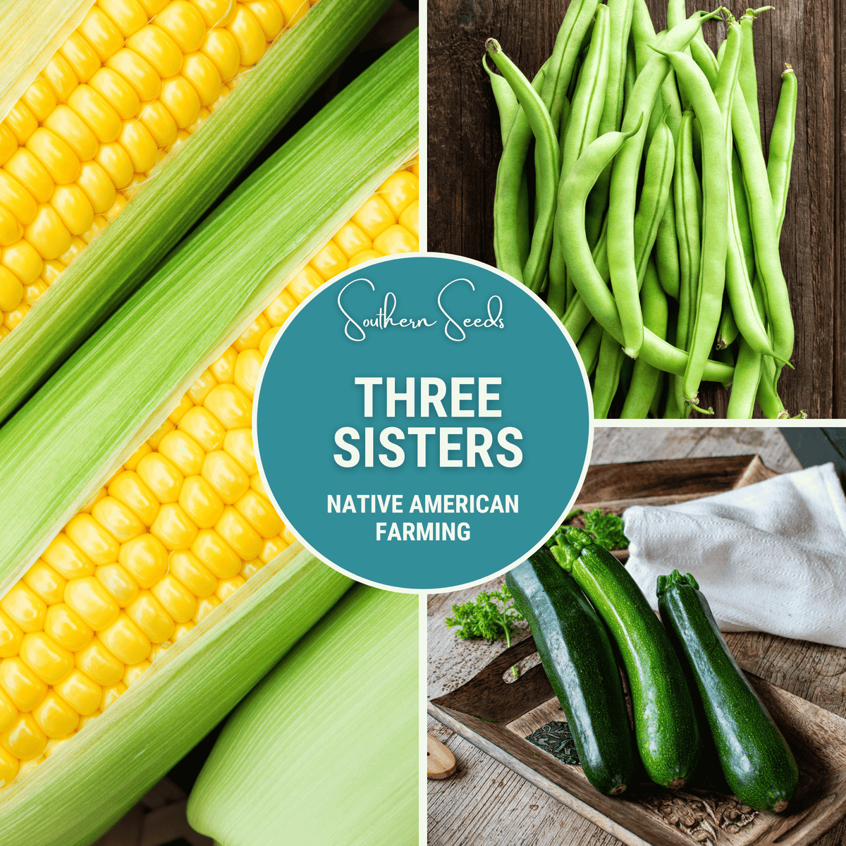 Three Sisters Seed Collection - Heirloom Seeds - Corn, Bean, Squash - Native American Farming Tradition