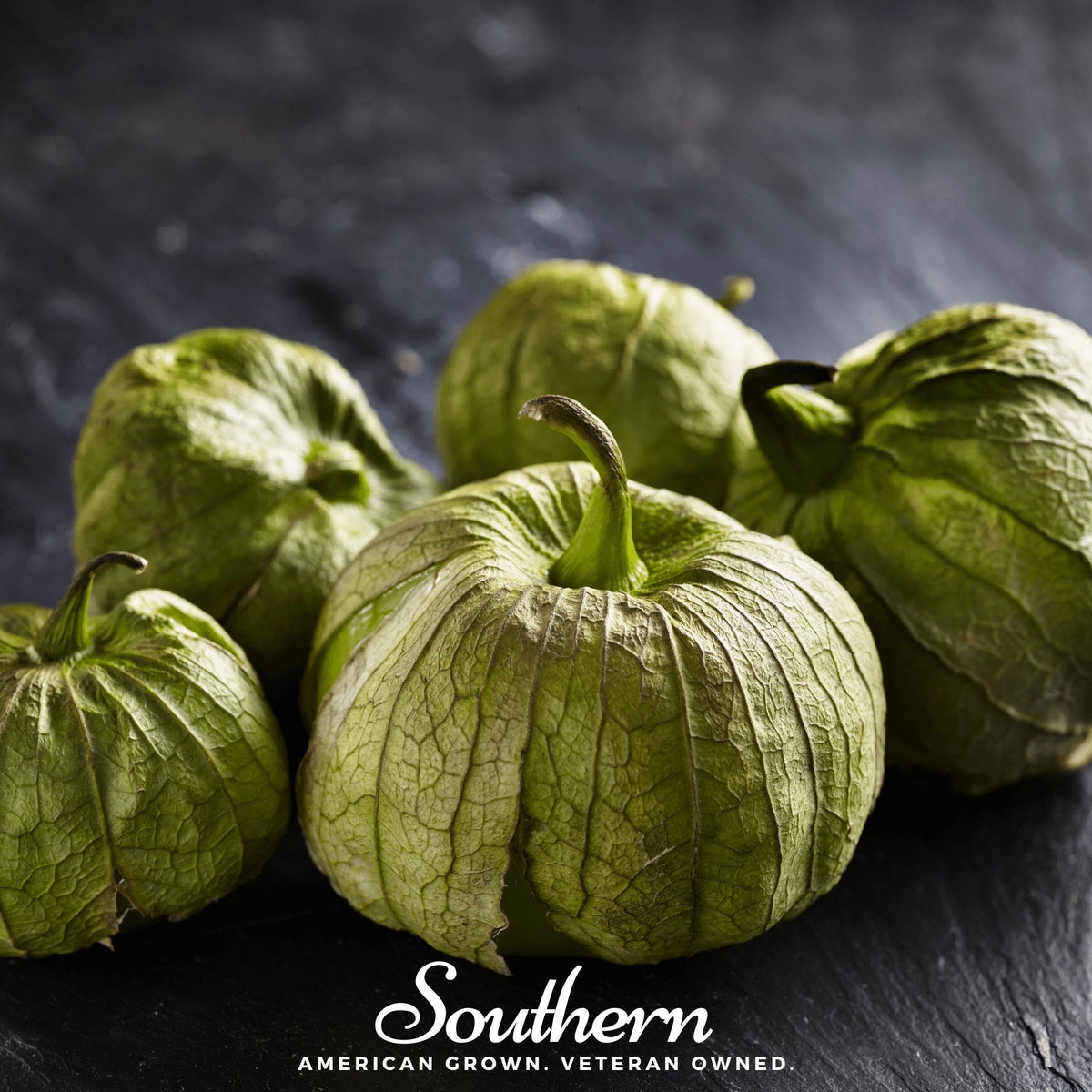 Verde Rio Grande Tomatillo Seeds - 50 Pack - Heirloom Vegetable Seeds for Garden - Physalis ixocarpa