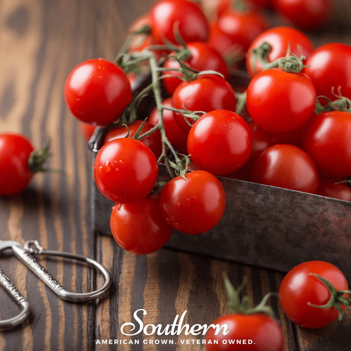 Small Red Cherry Tomato Seeds - 50 Count - Ideal for Home Gardening - Solanum lycopersicum