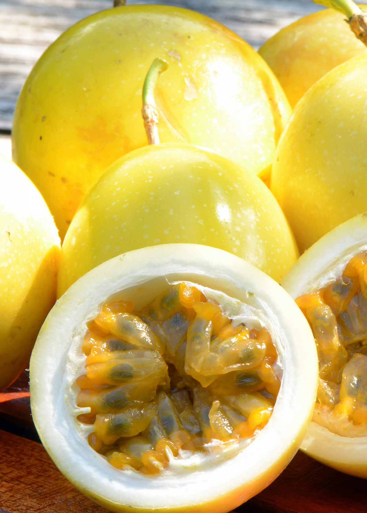 Yellow Passion Fruit Vine - Tropical Fruit Plant - Passiflora edulis flavicarpa - Sweet Flavor & Ornate Flowers